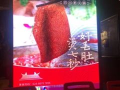 -孙毛肚火锅(春熙路店)