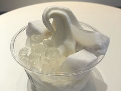 椰椰冻雪糕杯-喜茶(迪士尼小镇DP店)