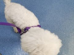 -宠颐生动物医院·心脏科·保险定点(锦阳分院)