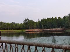 -东郊湿地公园