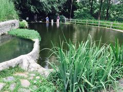 -成都市活水公园
