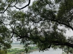 -广州莲花山旅游区