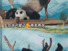 -南宁市动物园