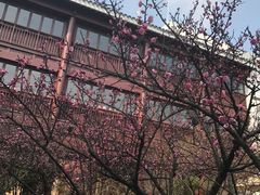 -苏州吴宫泛太平洋酒店