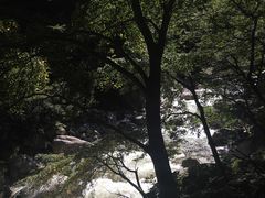 -青峰峡国家森林公园