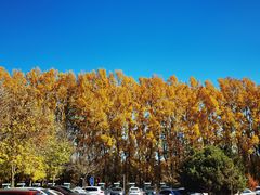 -野鸭湖国家湿地公园