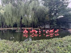 -石家庄市动物园