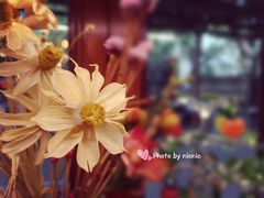 -治愈系甜品The Soothing Dessert(科海大楼店)