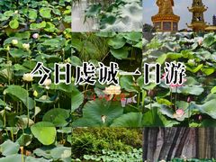 -广州莲花山旅游区
