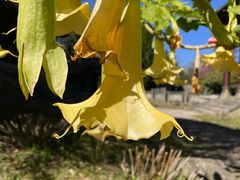 -天龙八部武侠城