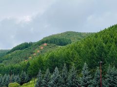 -塞罕坝国家级自然保护区