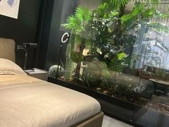 -上海月星家居(澳门路店)
