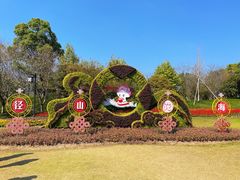 -径山花海