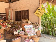 -大象粑粑造纸公园