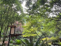 -明月山天沐温泉度假村