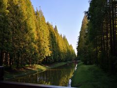 -黄海国家森林公园