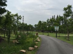 -上海长兴岛郊野公园