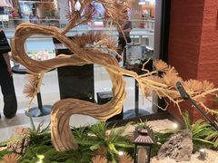 -老湘亲·品鉴湘菜(蔡塘爱琴海店)