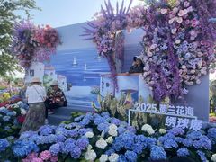 -荷兰花海