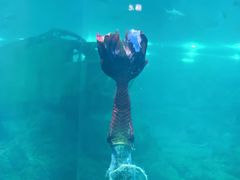 -福州罗源湾海洋世界旅游区