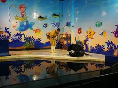 -太平洋海底世界