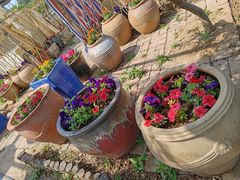 -淄博花灯齐彩城