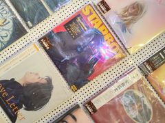 -树懒黑胶唱片店(中山路店)