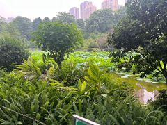 -龙头寺公园