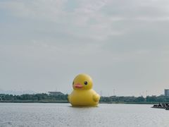 -深圳人才公园