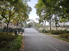 -贡湖湾湿地公园