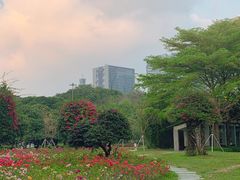 -荔香公园