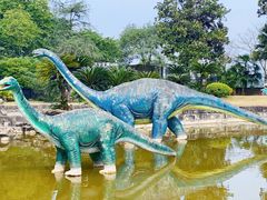 -自贡恐龙博物馆