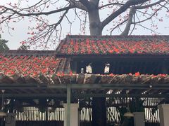 -喜洲吧·江畔老船厂·庭院餐厅(喜临院店)