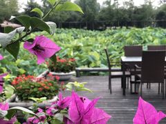 -洪湖家庭农场·团建·露营·会议