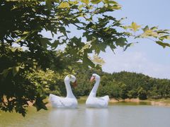 -千岛湖龙川湾