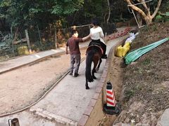 -水濂山森林公园