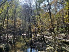 -牛背梁国家森林公园