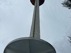 -香港海洋公园