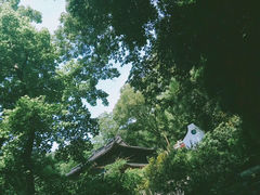 -虎跑公园