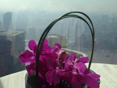 -金轩中餐厅 Jin Xuan(浦东丽思卡尔顿酒店)