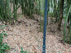 -潜山国家森林公园