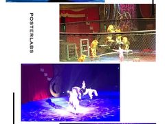 -珠海横琴长隆《卡卡虎奇遇记》