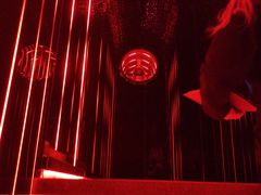 -519 DJ HOUSE(领show店)