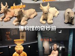 -广西壮族自治区博物馆