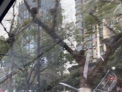 -杭州口腔医院(城西院区)