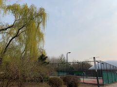 -朝阳公园体育中心