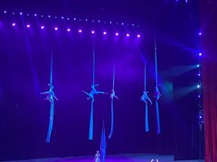 -水秀国际大剧院