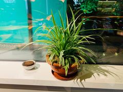 -迪欧咖啡·中西餐融合菜(平江万达旗舰店)