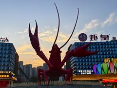 -虾皇(龙虾城旗舰店)