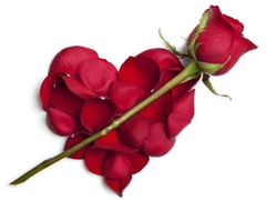 -东方明珠老上海8号餐厅(东方明珠广播电视塔店)